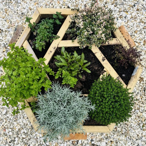Raised wooden bed hexagonal - raised,
