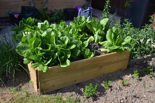 Rectangle timber raised bed - bed,
