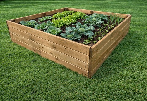 Raised wooden vegetable - raised,