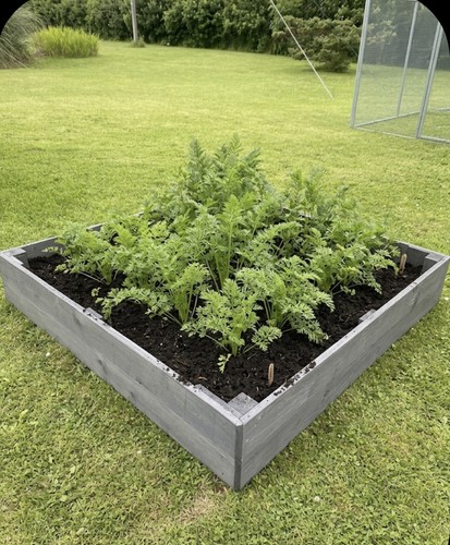 Wooden raised bed vegetable - raised,